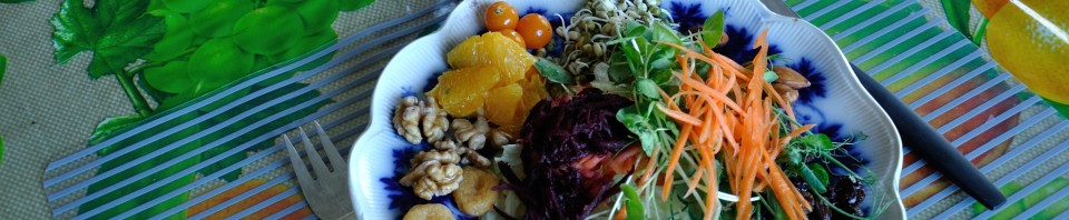 Healthy plate